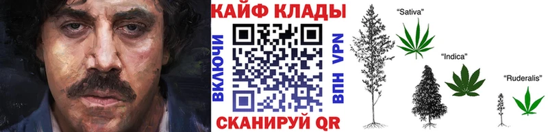 Как найти закладки Дзержинск СК  Галлюциногенные грибы  Меф мяу мяу  Гашиш  Марихуана 