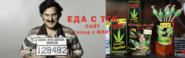 гидра Вяземский