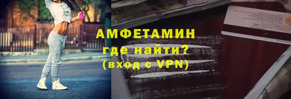 гидра Вяземский