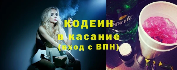 гидра Вяземский