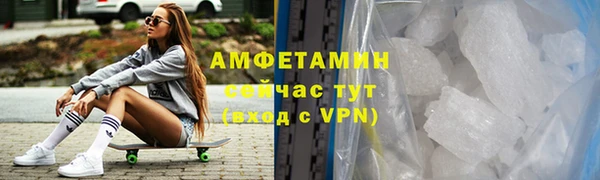 гидра Вяземский