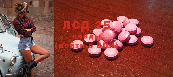 гидра Вяземский