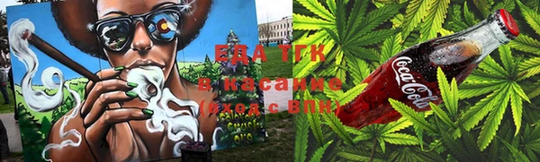 гидра Вяземский