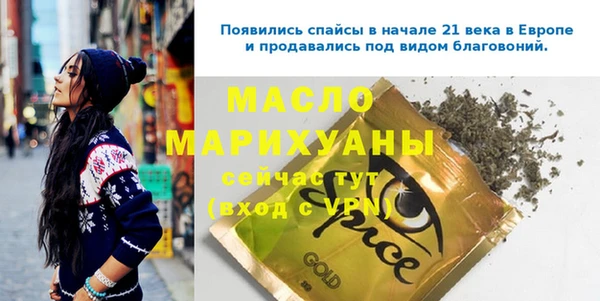 гидра Вяземский