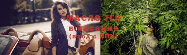 гидра Вяземский