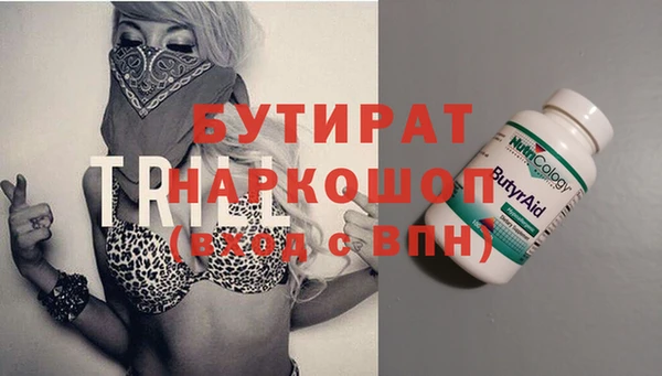 гидра Вяземский