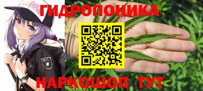 ГАЛЛЮЦИНОГЕННЫЕ ГРИБЫ Бийск