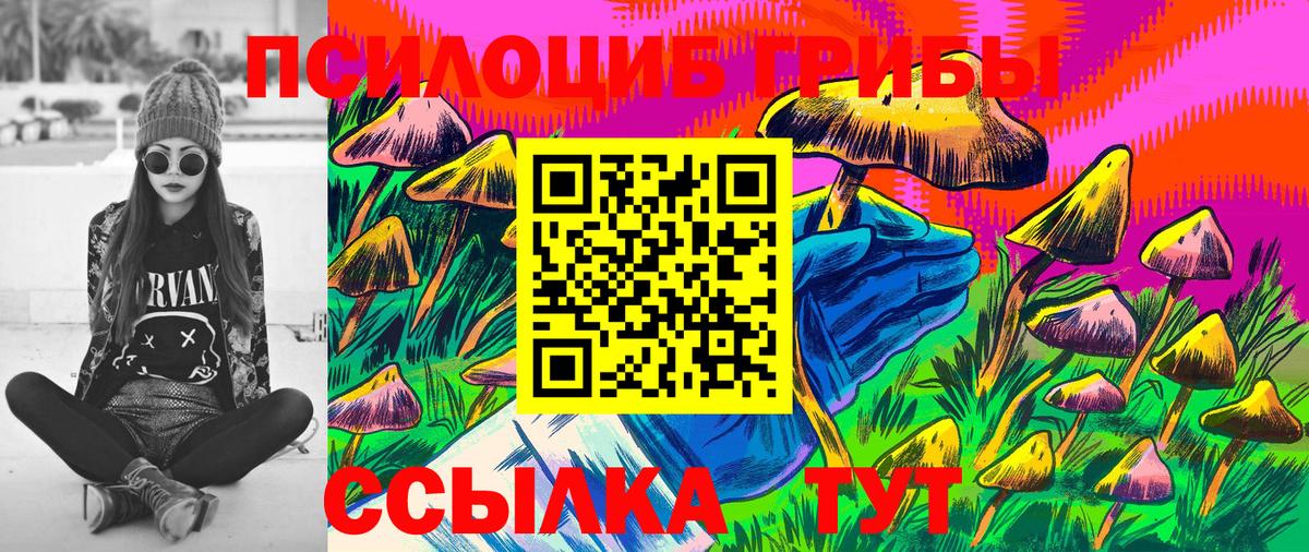 Псилоцибиновые грибы Psilocybe Дзержинск